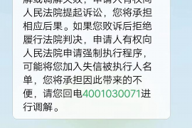丘北为什么选择专业追讨公司来处理您的债务纠纷？